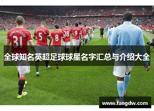 全球知名英超足球球星名字汇总与介绍大全