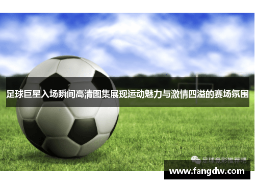 足球巨星入场瞬间高清图集展现运动魅力与激情四溢的赛场氛围