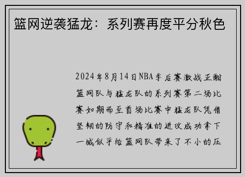 篮网逆袭猛龙：系列赛再度平分秋色